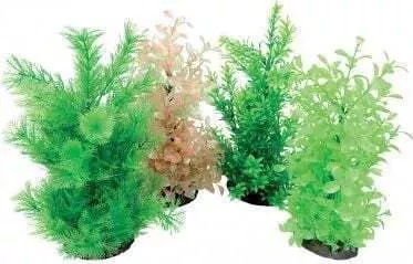 Αξεσουάρ για Ενυδρείο Ερπετού Zolux