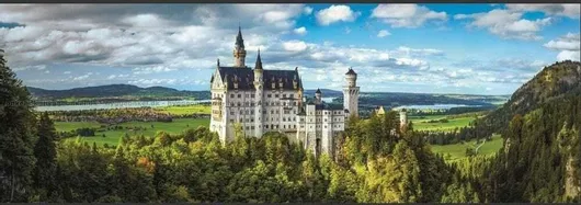 The Neuschwanst Puzzle 2D 1000pcs