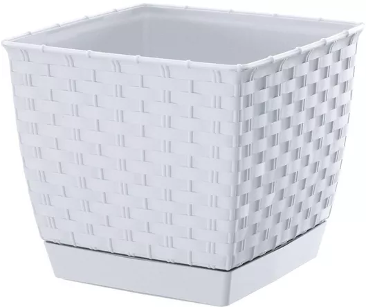 Κασπώ Prosperplast DRLK145 14.5x12.5cm λευκό