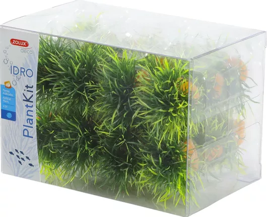 Αξεσουάρ για Ενυδρείο Ερπετού Zolux