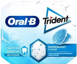 Trident Dental Care Peppermint Gum 17g