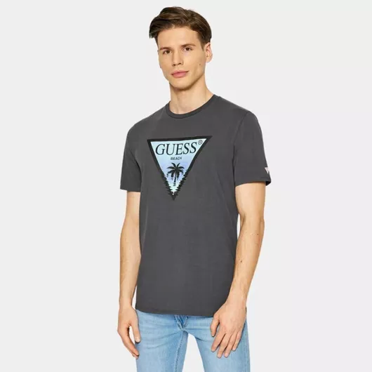 Guess T-shirt Grey