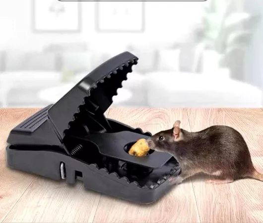 Παγίδα Παχύ Σκληρό Πλαστικό – Επαναχρησιμοποιούμενη Υποδοχή Δολώματος – Μ10xπ8xυ8cm