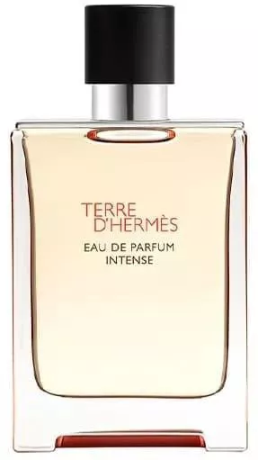 Hermes Terre D'hermès Eau de Parfum 100ml