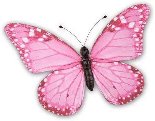 Διακοσμητικό Τοίχου Φελιζόλ 30x22cm