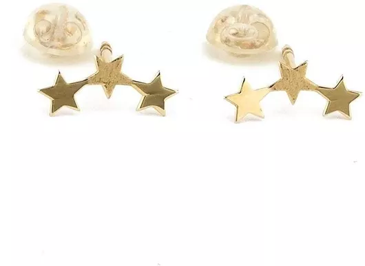Σκουλαρίκι GoldsmithΧρυσό 9K
