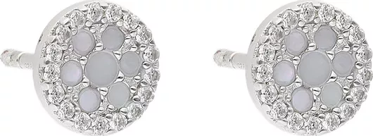 Γυναικείο Σκουλαρίκι Fossil Glitz ΚαρφωτόΑσήμι Με Πέτρες