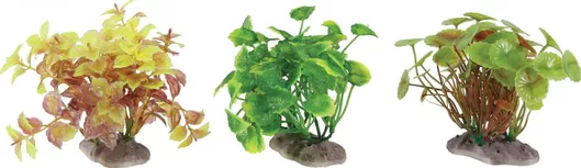 Αξεσουάρ Ενυδρείου Ερπετών Zolux από Πλαστικό