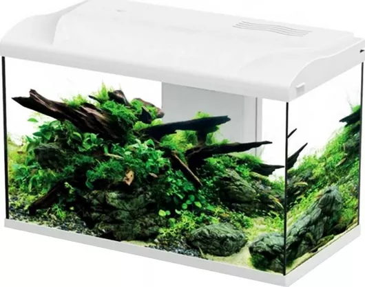 Ενυδρείο Ψαριών HS Aqua Platy 70 Led Bio  65lt με Φωτισμό, Θερμαντήρα & Φίλτρο 59x31x39cm Λευκό