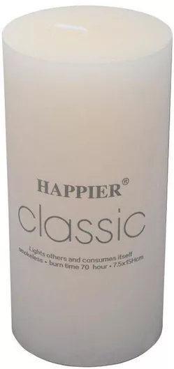 Fylliana Διακοσμητικό Κερί σε Βάζο