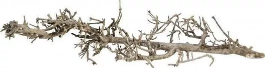 Αξεσουάρ Ενυδρείου Ερπετών