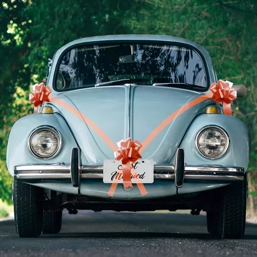 Σετ Διακόσμησης Αυτοκινήτου Γάμου Κόκκινο 5 Τεμ.