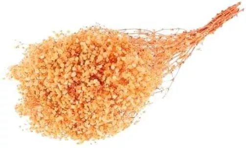 Τεχνητό Φυτό Γυψοφυλλη Αποξηραμενο Λουλουδι 240gr 240gr Σωμον