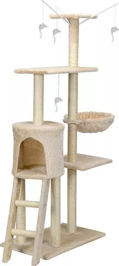 Ονυχοδρόμιο Γατόδεντρο