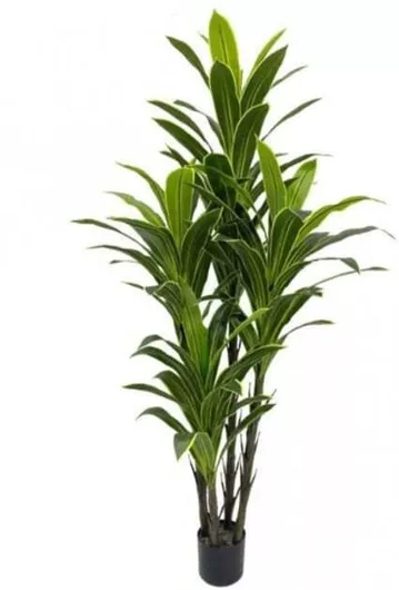 Τεχνητό Φυτό Εξωτερικού Χώρου Δράκαινα 4 Κορμούς 180cm Πράσινο