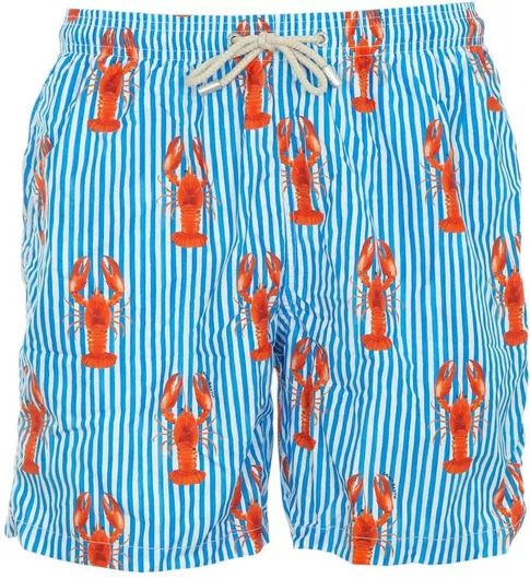 MC2 Lighting Ανδρικό Μαγιό Σορτς Blue με Ρίγες