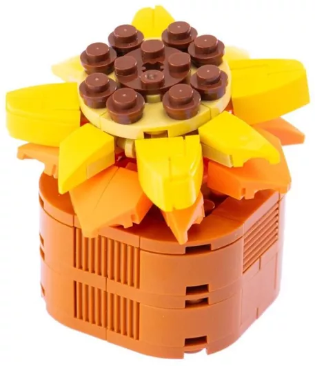 Τουβλάκι Nice Group Exotic Plants - Sedum Adolphii 97τμχ.