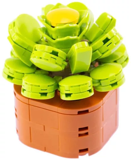 Τουβλάκι Nice Group Exotic Plants Aeonium Canariense 136τμχ.
