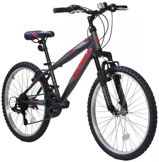 Παιδικό Mountain Bike Alpina Alpha 24" 21 Ταχυτήτων 2022 Γκρι