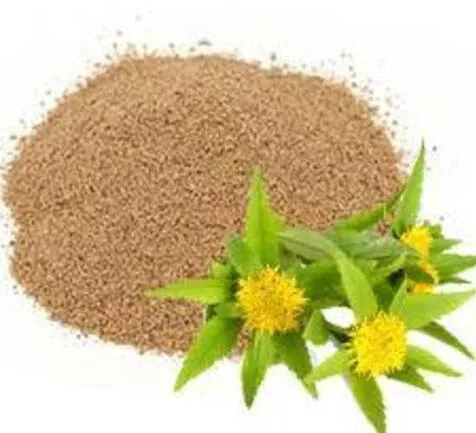 HealthTrade Ροδιόλα Ροσέα σε Σκόνη 500gr