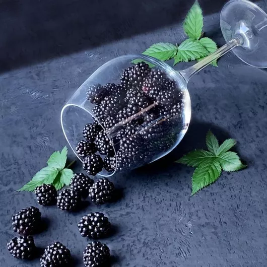Αρωματικό Κερί με Άρωμα Black Berry Wine 100gr Μαύρο