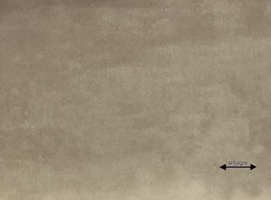 Κουρτίνα Sarlas με Τρέσα Velvet Natural 140x270cm