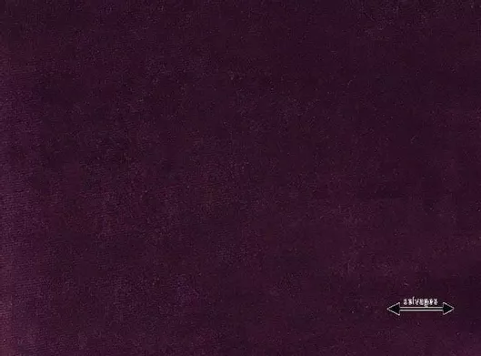 Κουρτίνα Sarlas με Τρέσα Velvet Purple 200x270cm