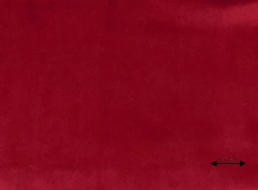 Κουρτίνα Sarlas με Τρέσα Velvet Red 140x270cm