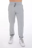 variation-icon-Glistening Grey