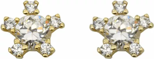 Γυναικείο ΣκουλαρίκιΧρυσό 14K με Πέτρες