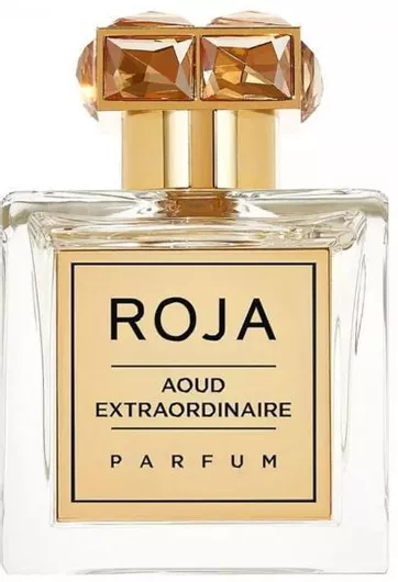 Ανδρικό Άρωμα Roja Parfums Aoud Extrait de Parfum 100ml