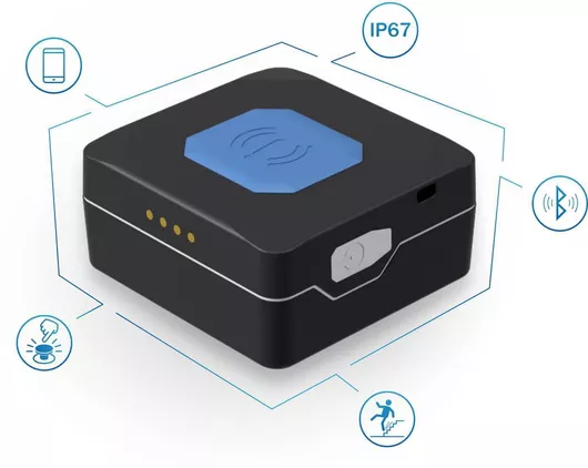 GPS Tracker Teltonika με Αισθητήρα Πτώσης & Κουμπί Sos Tmt250