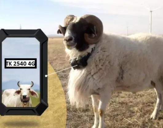 GPS Tracker Tk2540-2 4g με Κολάρο για Κατσίκια Και Πρόβατα με Κάρτα SIM