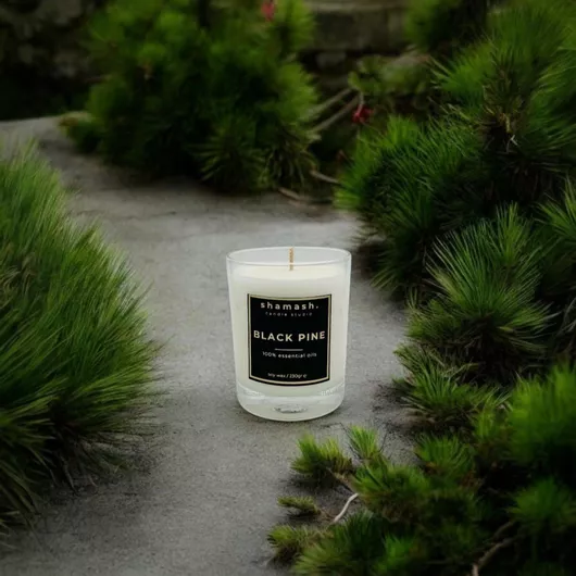 Αρωματικό Κερί Σόγιας Shamash σε Βάζο Black Pine