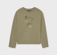 variation-icon-Χακί