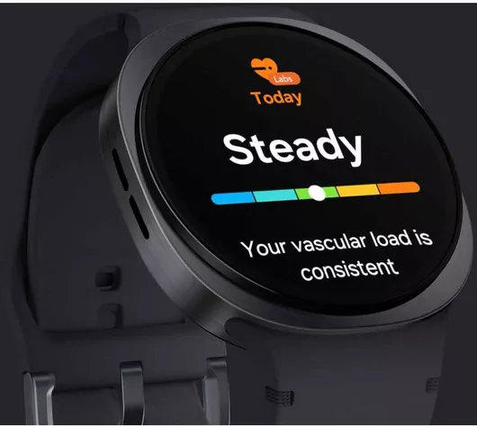 Samsung Galaxy Watch8 Aluminium 44mm  (Dark Gray)