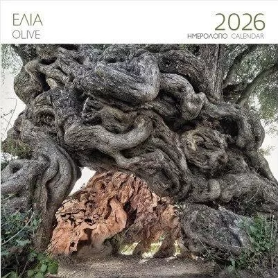 Επιτοίχιο Ημερολόγιο 2026 Ελιά Βούβες Ρ0001814