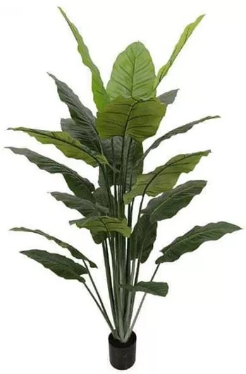 160cm Τεχνητό Διακοσμητικό Φυτό Αλοκάσια με Γλάστρα
