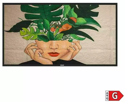 Philips 50BDL4511D 50" 4K UHD IPS Public Display with USB Media Player