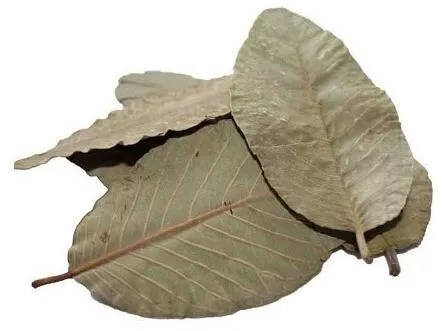 Ceramic Nature Guava leaves 15x