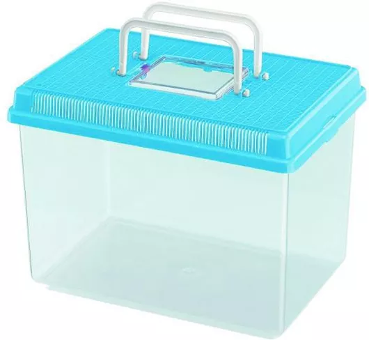 Zebra Ενυδρείο Ερπετών