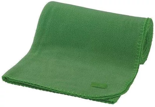 Easy Camp Κουβέρτα Πικ Νικ 130x130cmΠράσινο 