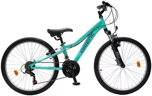 Orient Snake 24" Παιδικό Mountain Bike Πράσινο