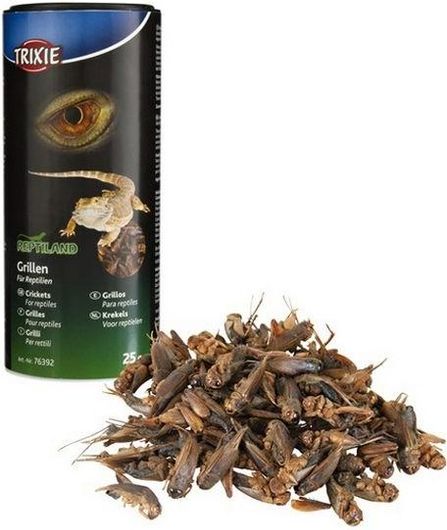 Τροφή Ερπετών Trixie 76392 Grillen 25gr