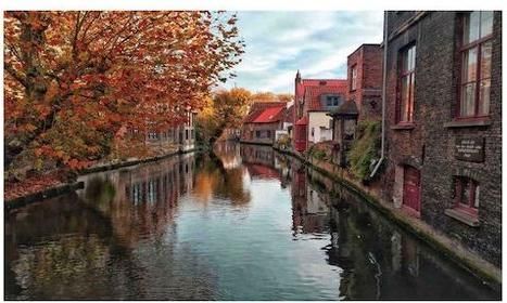 Πατάκι Μπάνιου Dimcol Bruges 259 Συνθετικό Αντιολισθητικό 85x50cm Πολύχρωμο