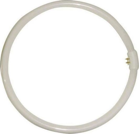 Λάμπα Φθορίου Eurolamp G10Q 40W