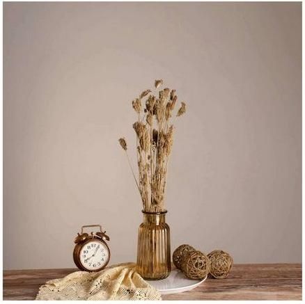 Αποξηραμένο Φυτό GloboStar Άγριο Καρότο 60cm Μπεζ