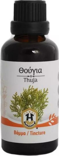 Βάμμα Herbstore Θούγια 50ml