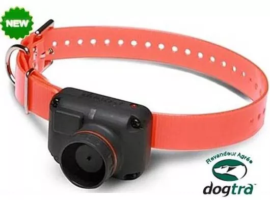 Ηλεκτρικό Κολάρο Dogtra Hawk Beeper