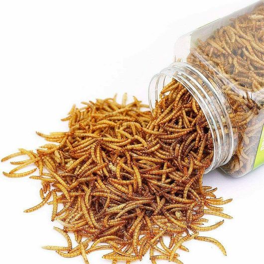 Λιχουδιά τρωκτικών mealworms αποξηραμένα 70gr